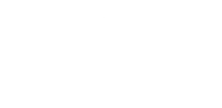 LOGO S8