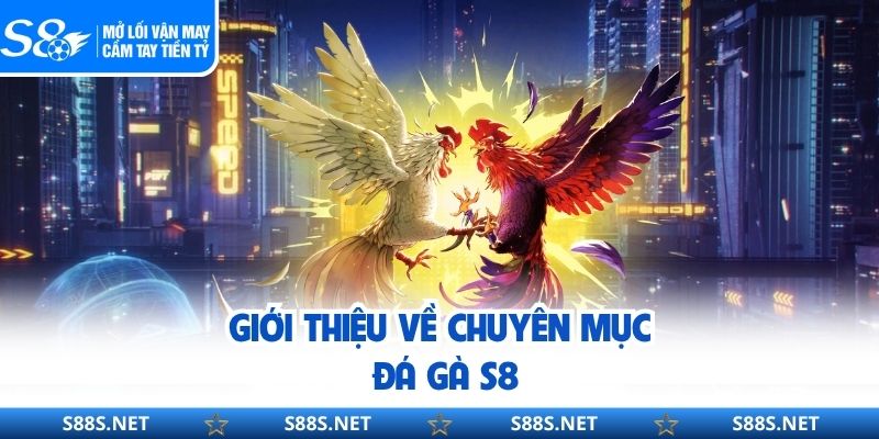 Giới thiệu về chuyên mục đá gà S8